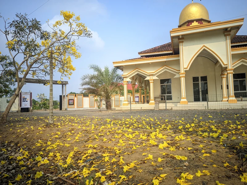 Lingkungan Asri & Masjid Pondok